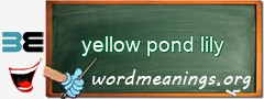 WordMeaning blackboard for yellow pond lily